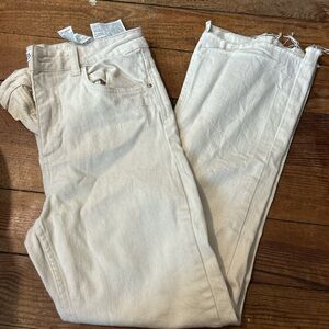 Zara Beige Denim Pants